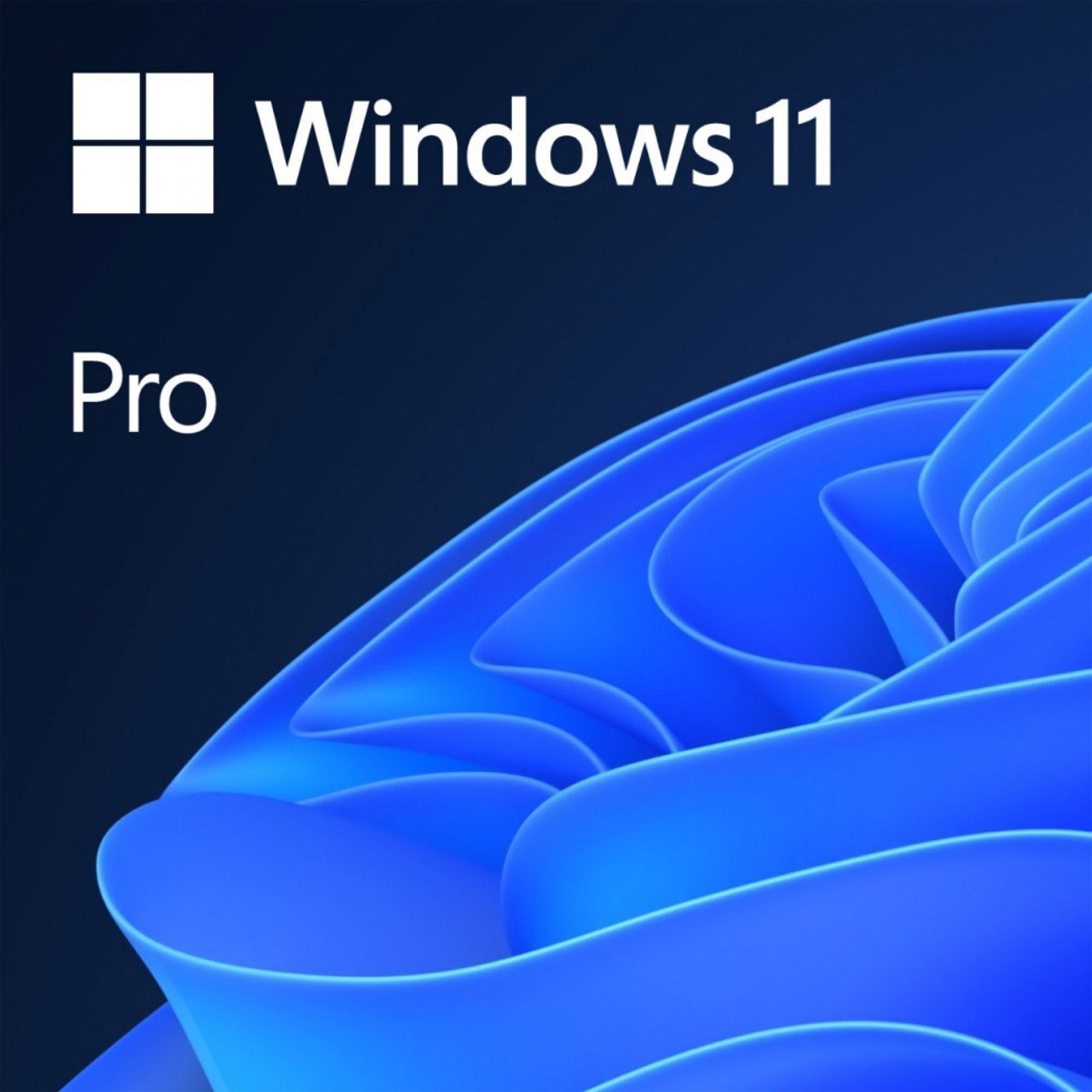 Microsoft Windows 11 Pro 64-bit for Workstations License 1 License