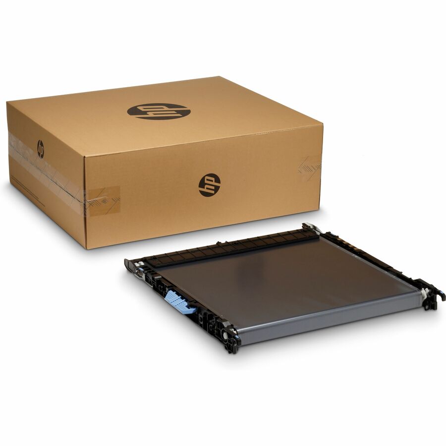 HP Transfer Belt